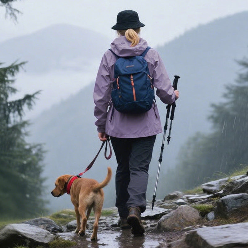 🔥LAST DAY SALE- 49% OFF🎁3-in-1 Waterproof Women's Jacket – Rain, Wind & Cold, All Covered