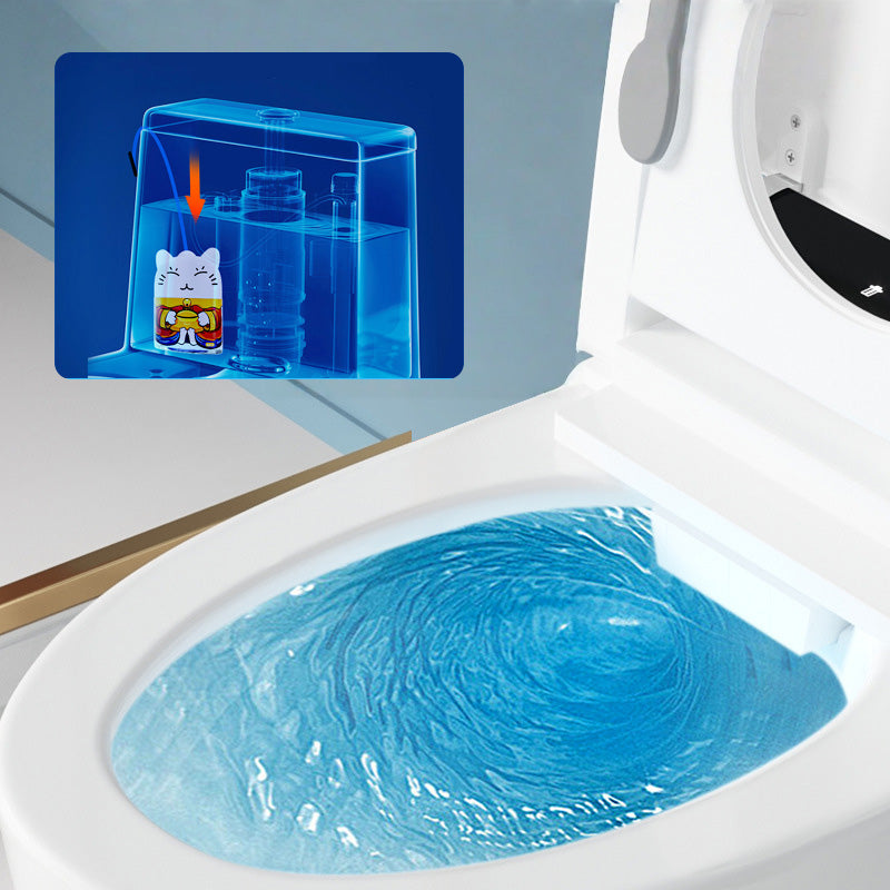 Powerful Automatic Toilet Cleaning Block