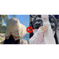 🥳SUMMER HOT SALE🥳💞50K+ SOLD!💥50% OFF! 🔥 Women's Bowknot Wide Brim Sun Hat ☀️ UV Protection Summer Beach Hat 🌴（副本）