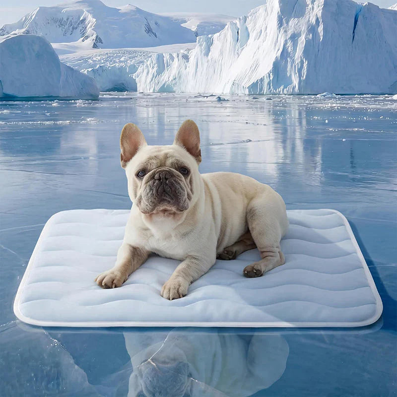 🌞Summer Hot Sale 49% OFF🧊Premium Cooling Mat For Pet