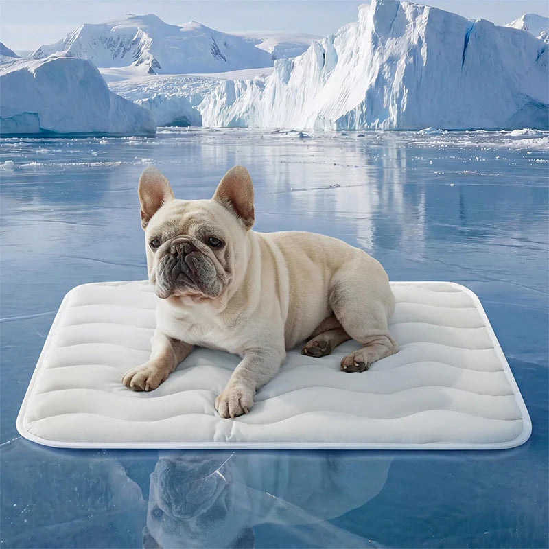 🌞Summer Hot Sale 49% OFF🧊Premium Cooling Mat For Pet