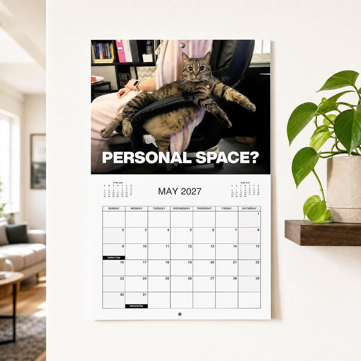 🏆 Last Day Special Price £5.99! 🗓️PISSED-OFF CATS😼💢2027 Wall Calendar - Funny Gift for Cat Lovers