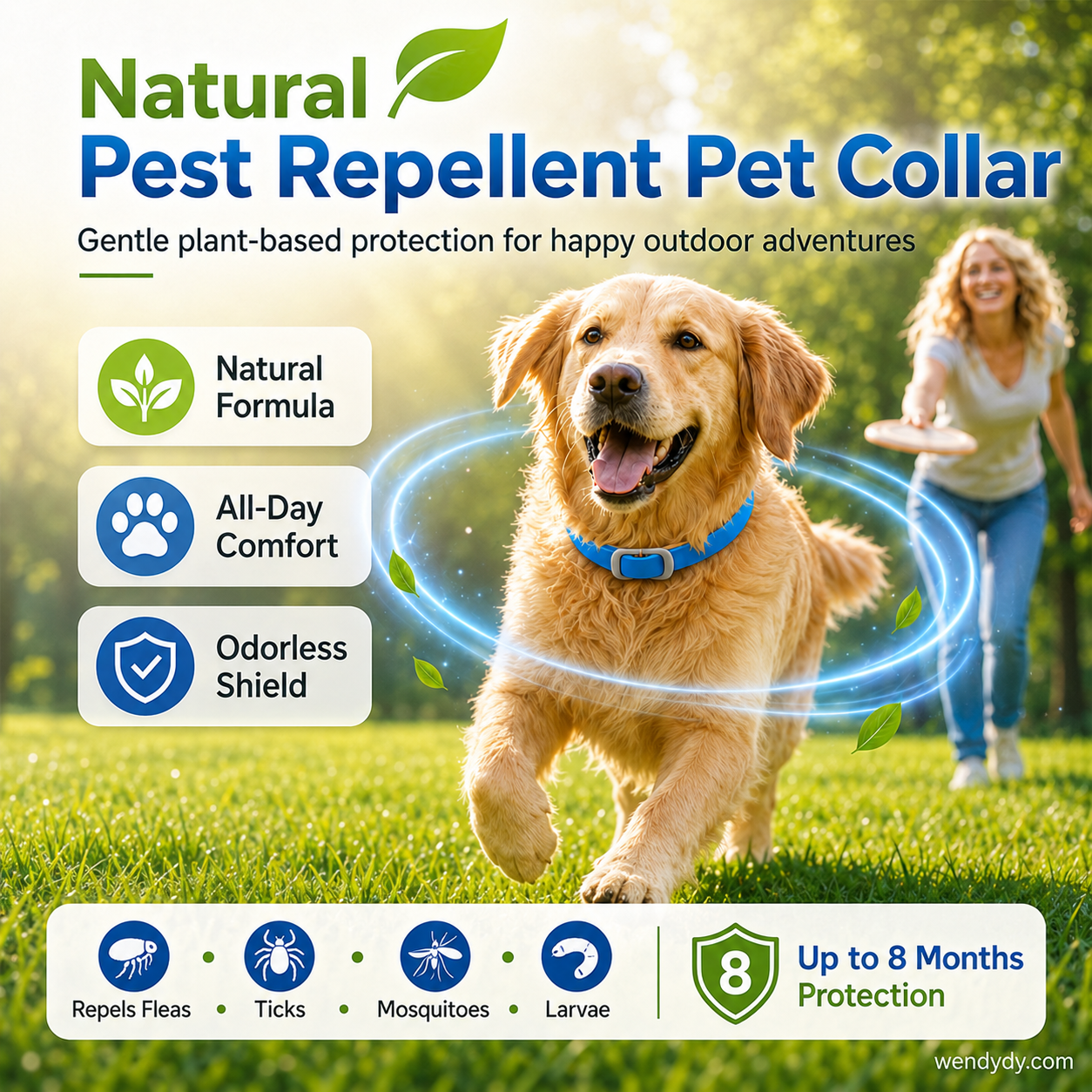 🎁💥LAST DAY SPECIAL PRICE!-￡7.99!!🐾Natural Essential Oil Pet Pest Repellent Collar