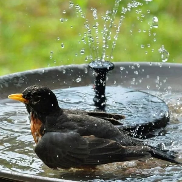 ☀LAST DAY SALE 50% OFF!!🐦️⛲Compact Solar Bird Fountain Pump – Keep Your Garden Alive!