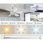 🏆LAST DAY SALE 49% OFF🔥SmartBreez™ 40W LED Ceiling Fan Light – 20.5” Ultra-Quiet with Remote 🎯 | E27 + FREE B22 Adapter 🔌 | For Bedroom 😴, Kitchen 👩‍🍳 & Garage 🛠️ – UK Ready! 🇬🇧（副本）