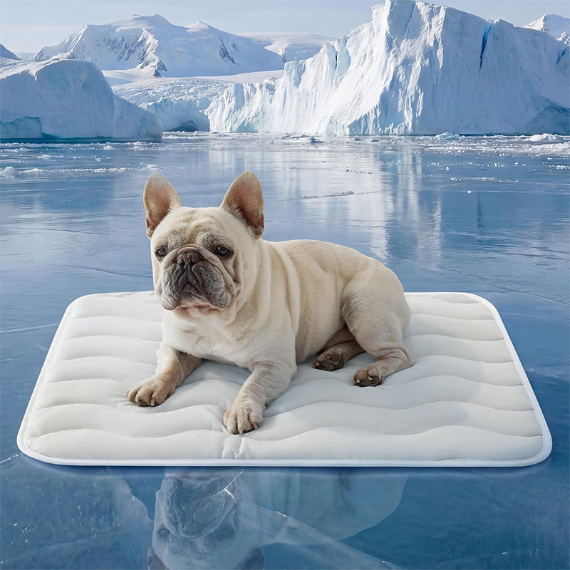 ❄️Summer Blowout! ❄️50% OFF 🧊PawDew™ for Dogs & Cats – Vet-Approved Ice-Silk Cooling Pad ❄️ | Q-MAX >0.4 | Washable 🧼, Non-Slip 🛟 | Perfect for Large Breeds & UK Summers ☀️🇬🇧