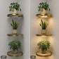 🏆 Last Day Special Price £9.99 ! 💡Buy more save more🏠 Floating Wall Shelf with Built-in Ambient LED Lighting✨