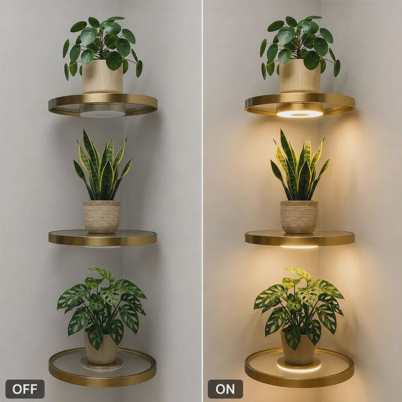 🏆 Last Day Special Price £9.99 ! 💡Buy more save more🏠 Floating Wall Shelf with Built-in Ambient LED Lighting✨