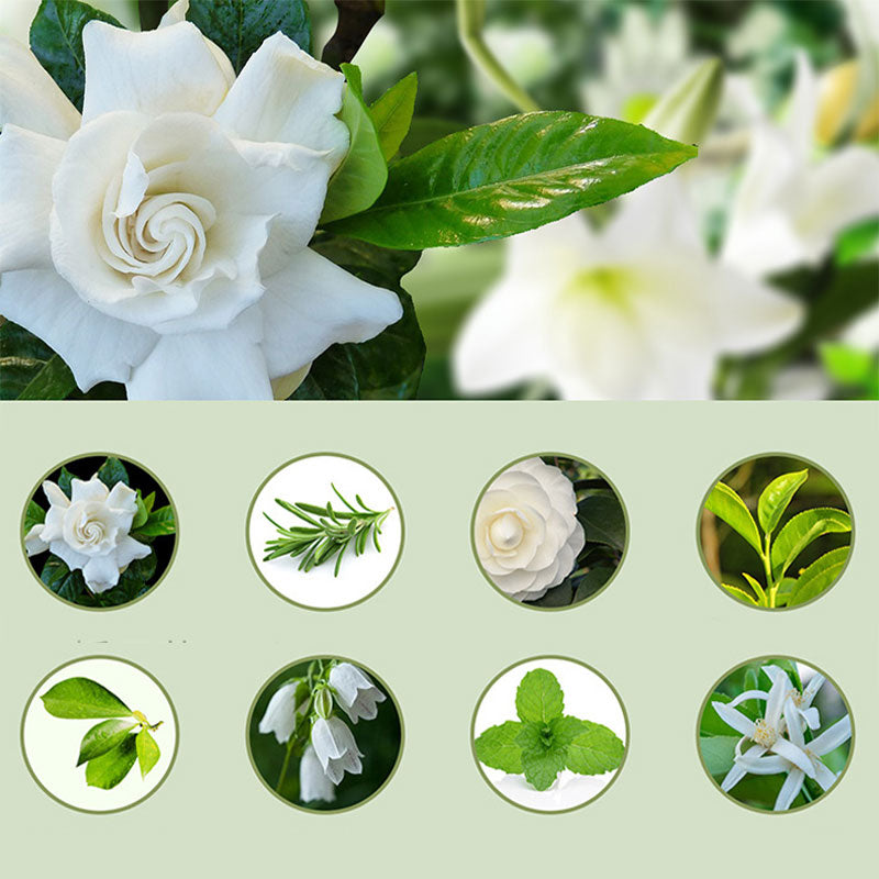 Freshen Any Room Instantly! No-Cord Timed Aroma Diffuser