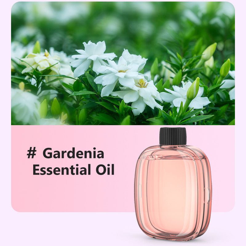 2026 HOT SALE🥳Freshen Any Room Instantly! No-Cord Timed Aroma Diffuser