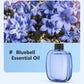 Freshen Any Room Instantly! No-Cord Timed Aroma Diffuser