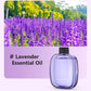 Freshen Any Room Instantly! No-Cord Timed Aroma Diffuser