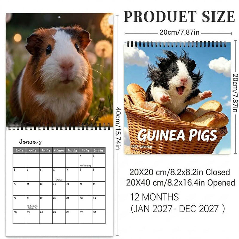 🗓️🔥2027 Funny Adorable Guinea Pig Wall Calendar